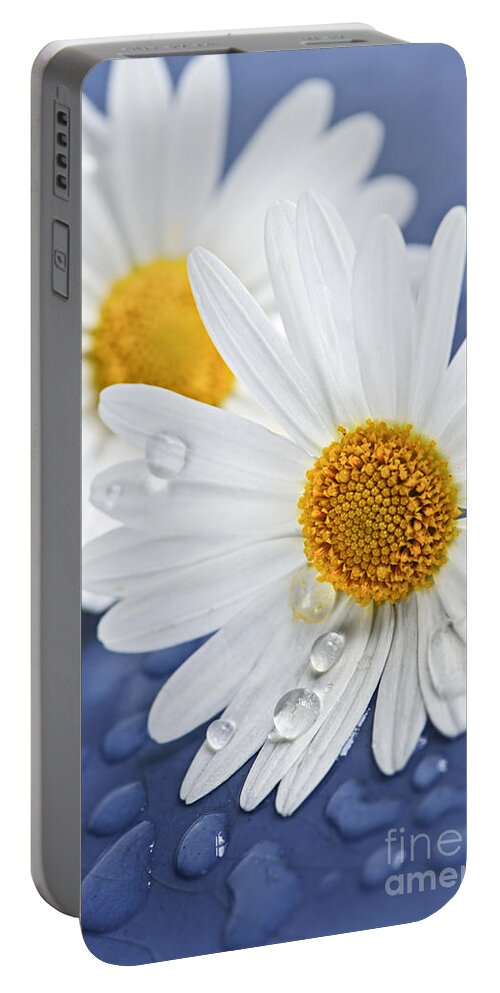 Flower Portable Battery Charger featuring the photograph Daisy flowers with water drops by Elena Elisseeva