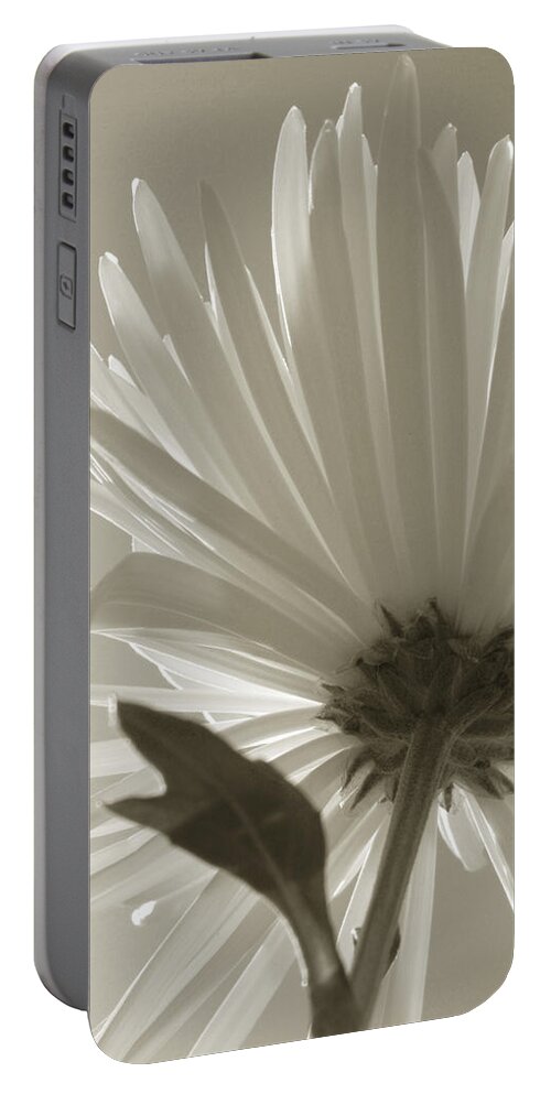 Flowers Portable Battery Charger featuring the photograph Daisy Sepia Abstract by Joseph Hedaya
