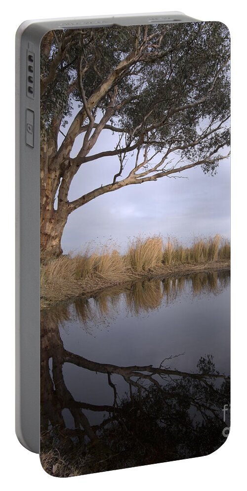 Eucalyptus Portable Battery Charger featuring the photograph Dam by Linda Lees