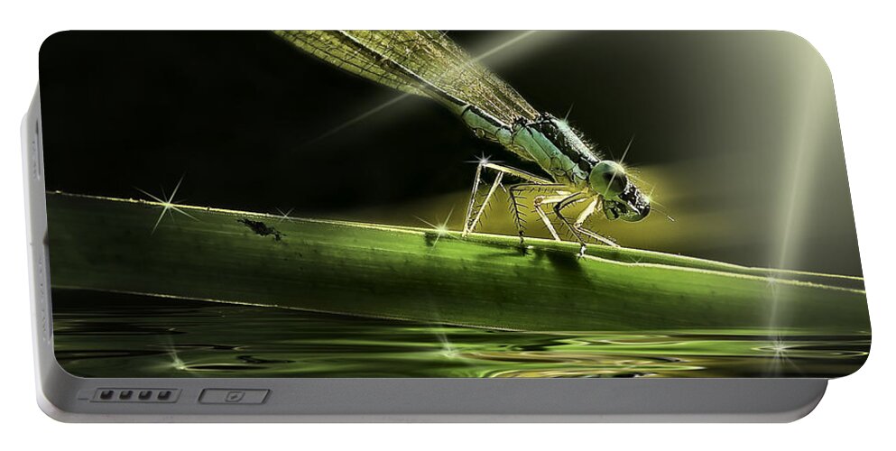 Dragon Fly With Sparkling Reflections Portable Battery Charger featuring the photograph Damsel Dragon fly with sparkling reflection by Peter V Quenter