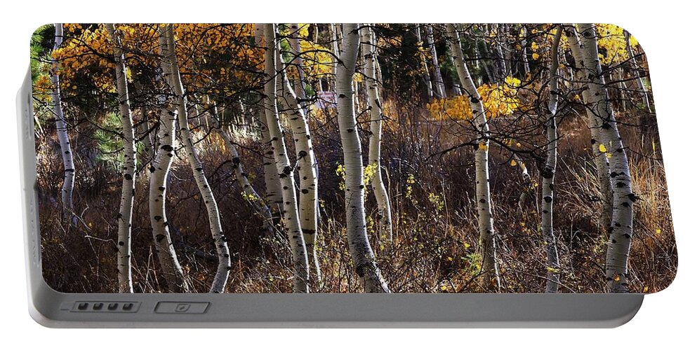 Abstract Portable Battery Charger featuring the photograph Dancing Aspens by Mark Robert Bein