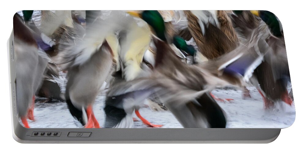 Mallards Portable Battery Charger featuring the photograph Dancing Ducks by Holden The Moment