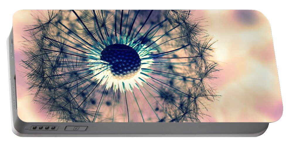 Dandelions Portable Battery Charger featuring the photograph Dandelion 5 by Amanda Mohler