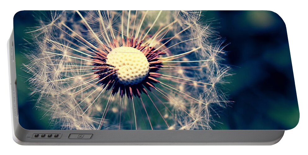 Dandelions Portable Battery Charger featuring the photograph Dandelion 6 by Amanda Mohler