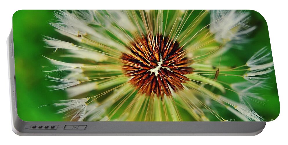 Dandelion Macro Portable Battery Charger featuring the photograph Dandelion Dreams by Peggy Franz