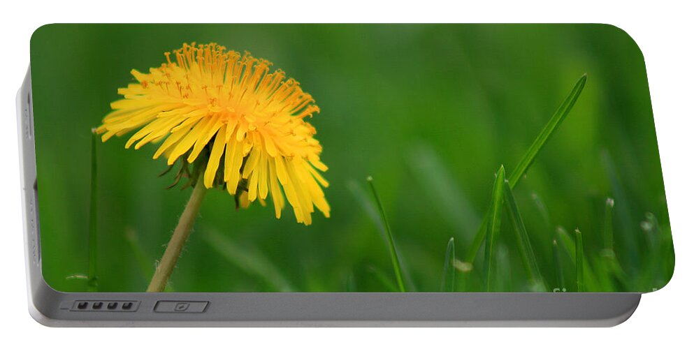Flower Portable Battery Charger featuring the photograph Dandelion Flower by Karen Adams