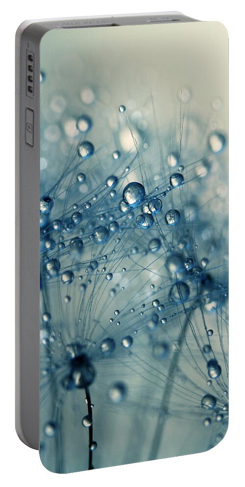 Dandelion Portable Battery Charger featuring the photograph Dandy Blue Shower by Sharon Johnstone