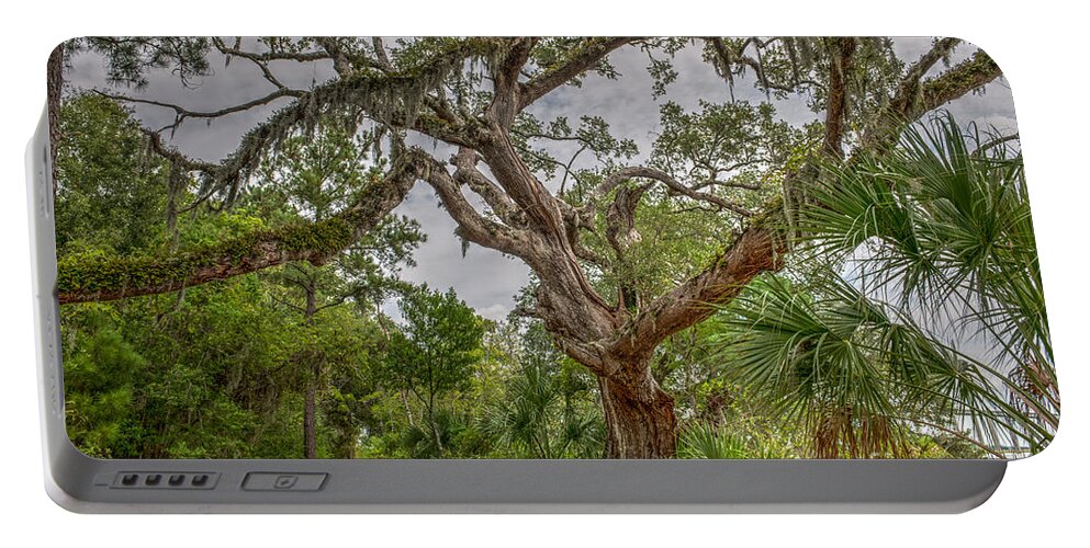 Daniel Island Portable Battery Charger featuring the photograph Daniel Island Live Oak Tree by Dale Powell