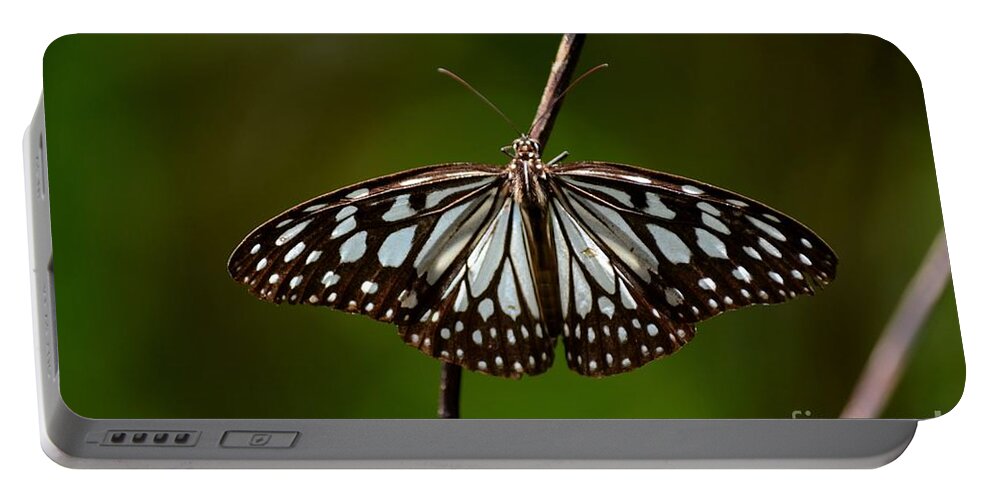 Butterfly Portable Battery Charger featuring the photograph Dark glassy tiger butterfly on branch by Imran Ahmed