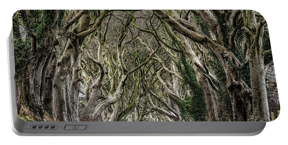 Dark Hedges Portable Battery Charger featuring the photograph Dark Hedges by Nigel R Bell