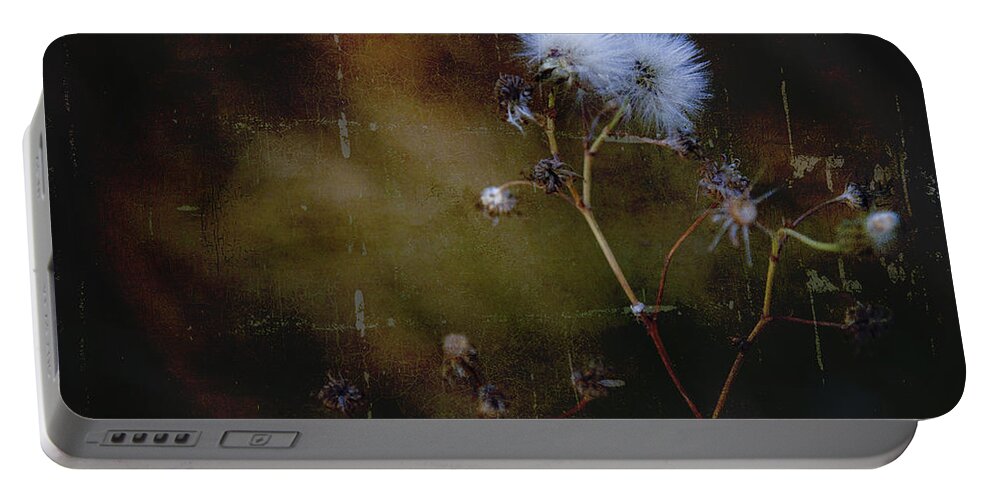 Thistle Portable Battery Charger featuring the photograph Dark Thistle by Theresa Tahara