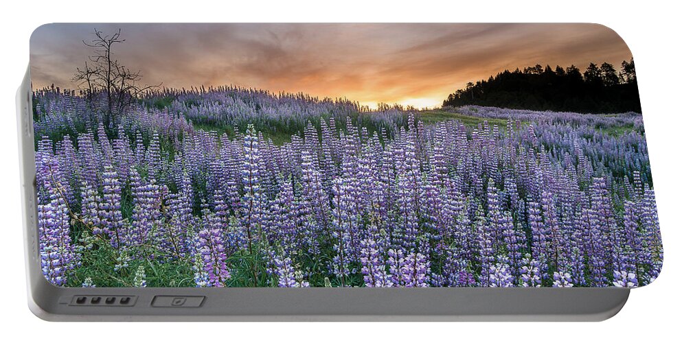 Lupine Portable Battery Charger featuring the photograph Dawn of Lupine by Greg Nyquist