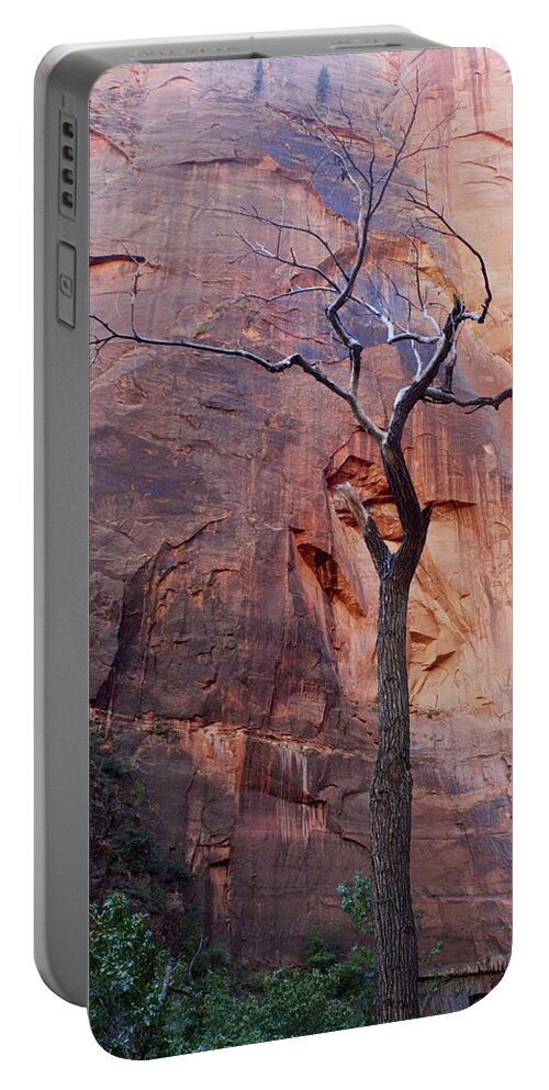 Zion National Portable Battery Charger featuring the photograph Dead Tree in Zion by Stuart Litoff