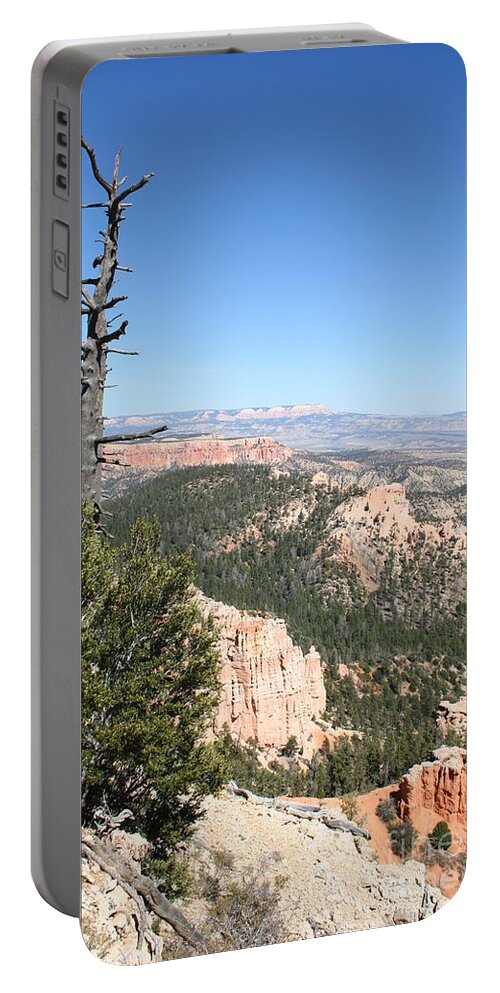 Tree Portable Battery Charger featuring the photograph Dead Tree Overlook - Bryce Canyon by Christiane Schulze Art And Photography