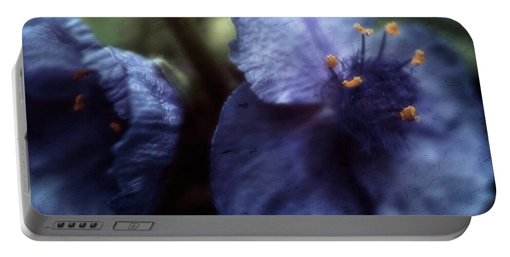  Tradescantia Virginiana Portable Battery Charger featuring the photograph Deep Blue by Louise Kumpf
