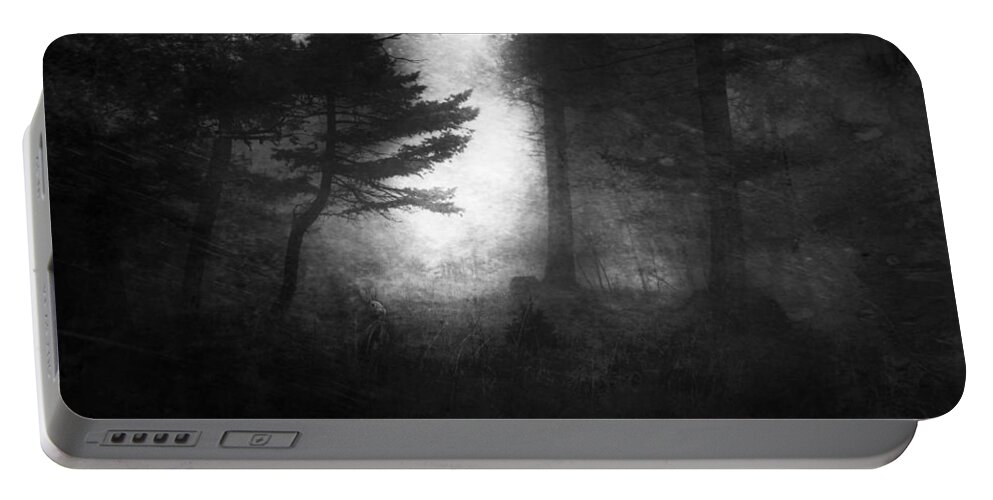 Rabbit Portable Battery Charger featuring the photograph Deep In The Dark Woods by Theresa Tahara