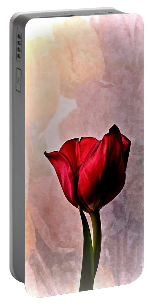 Flower Portable Battery Charger featuring the photograph Deep Red Tulip on Pale Tulip Background by Phyllis Meinke