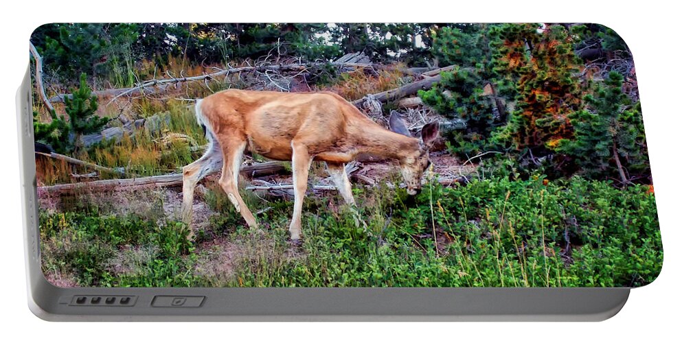 Deer Portable Battery Charger featuring the photograph Deer 1 by Dawn Eshelman