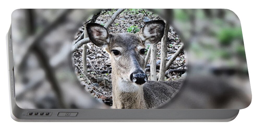 Deer Portable Battery Charger featuring the photograph Deer Hunter's View by Russel Considine