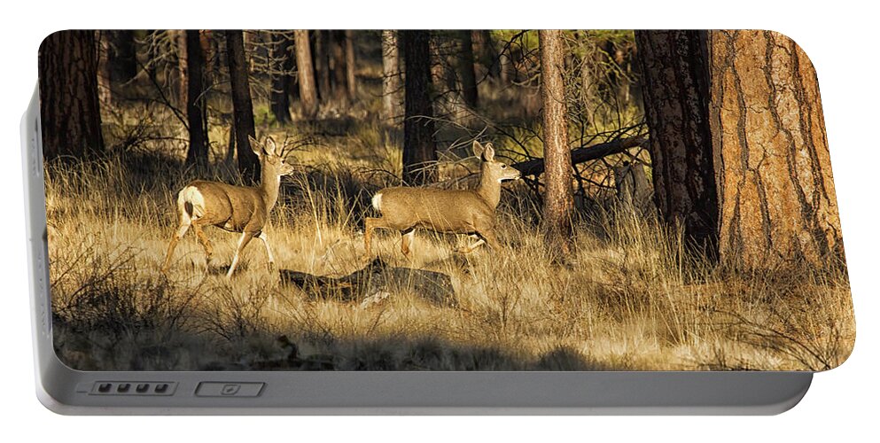 Deer Portable Battery Charger featuring the photograph Deer on the Run by Belinda Greb