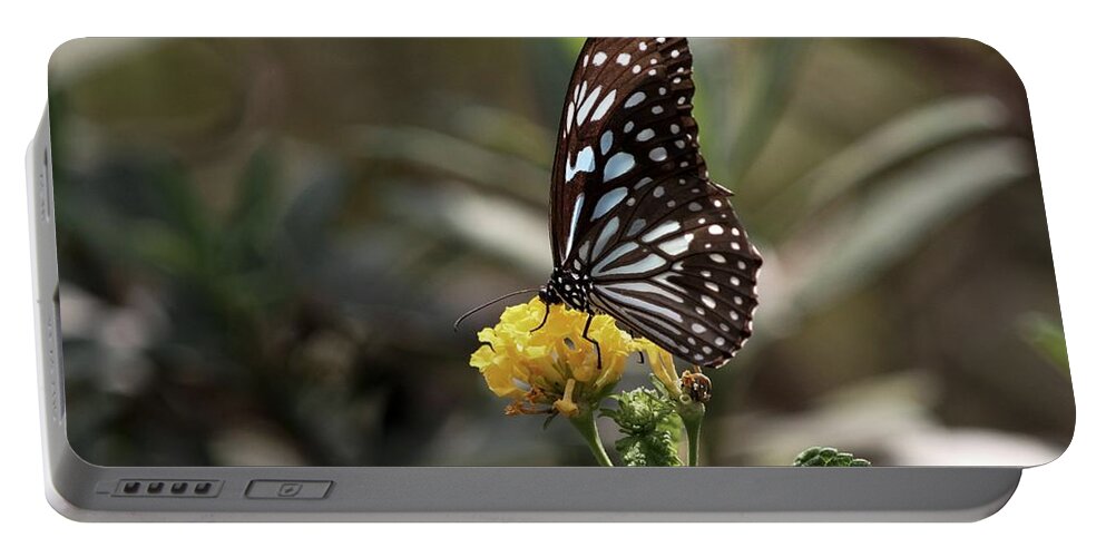 Butterfly Portable Battery Charger featuring the photograph Delicate Darling by Ramabhadran Thirupattur