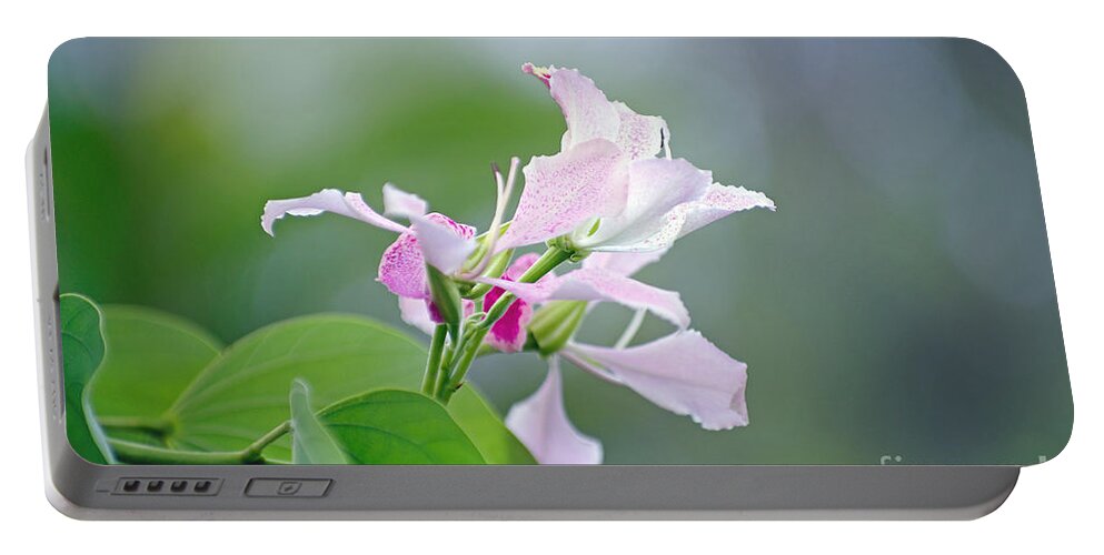 Flowers Portable Battery Charger featuring the photograph Delicate Delight by Kerryn Madsen-Pietsch