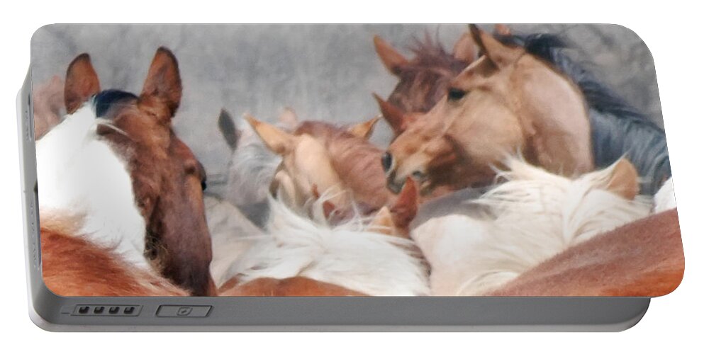 Horses Portable Battery Charger featuring the photograph Delicate Illusion by Kae Cheatham