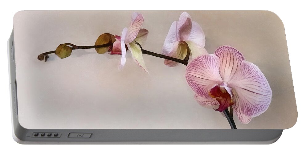 Phalaenopsis Portable Battery Charger featuring the photograph Delicate Pink Phalaenopsis Orchids by Susan Savad