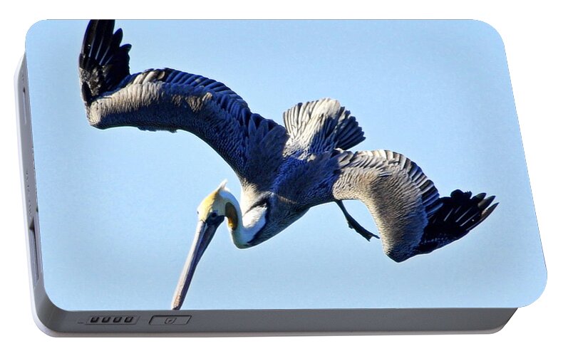 Wildlife Portable Battery Charger featuring the photograph Descent by AJ Schibig
