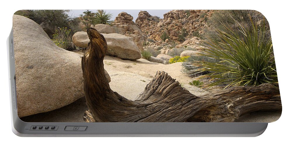 Ca Portable Battery Charger featuring the photograph Desert Art by Lucinda Walter