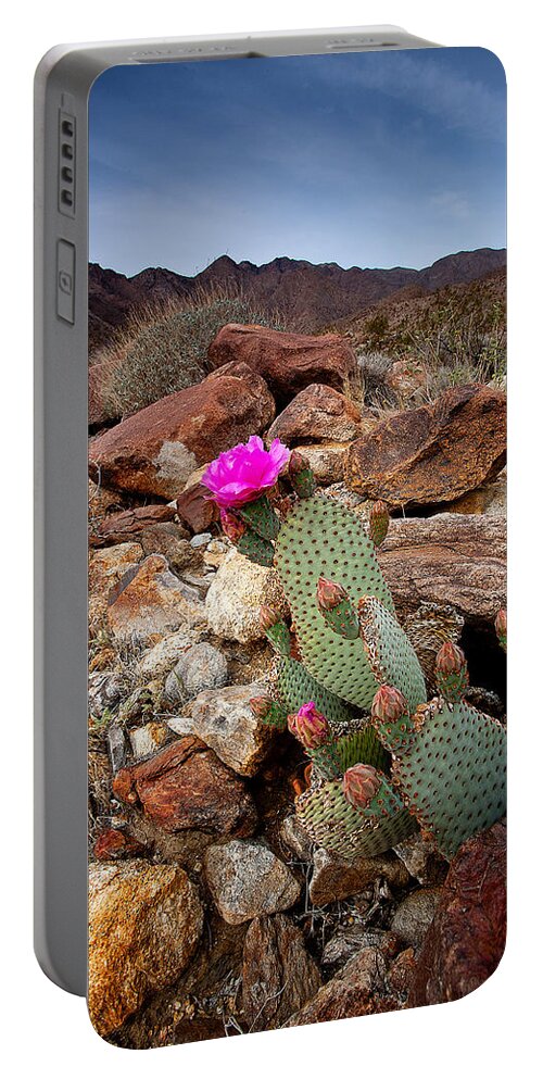 Anza-borrego Desert Portable Battery Charger featuring the photograph Desert BeaverTail by Peter Tellone