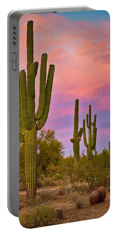 Saguaros Portable Battery Charger featuring the photograph Desert Spring by James BO Insogna