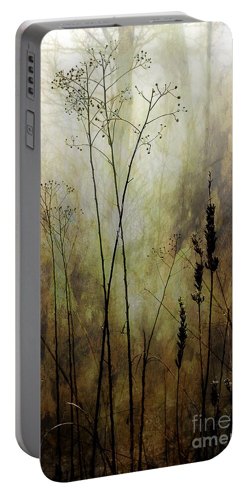 Fog Portable Battery Charger featuring the photograph Destiny Of The Silence by Michael Eingle