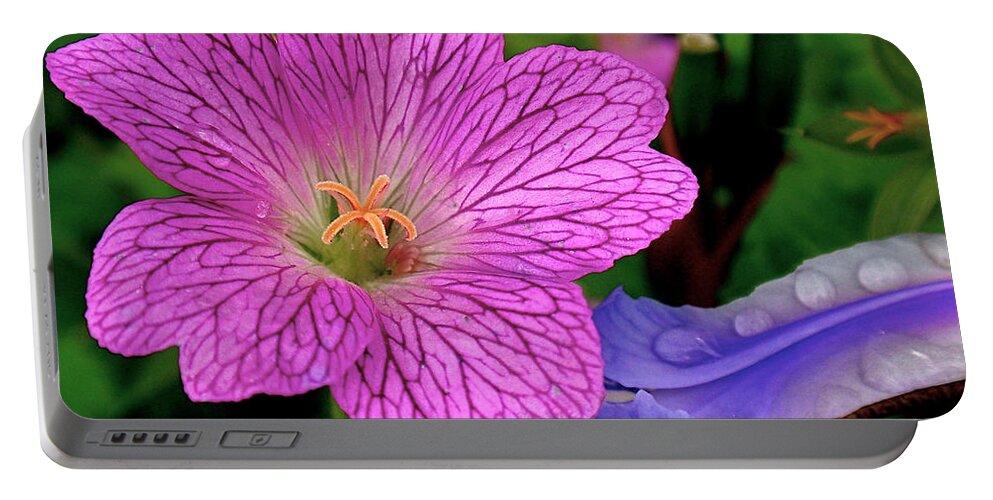 Flower Portable Battery Charger featuring the photograph Details by Rona Black