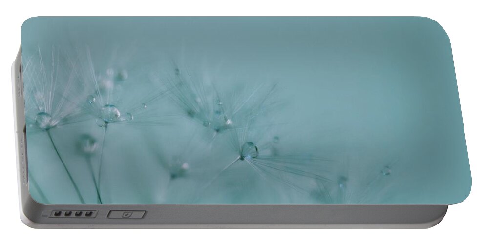 Dandelion Portable Battery Charger featuring the photograph Dew Drops on Dandelion Seeds by Marianna Mills