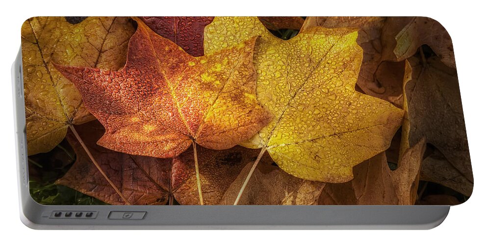 Leaf Portable Battery Charger featuring the photograph Dew on Autumn Leaves by Scott Norris