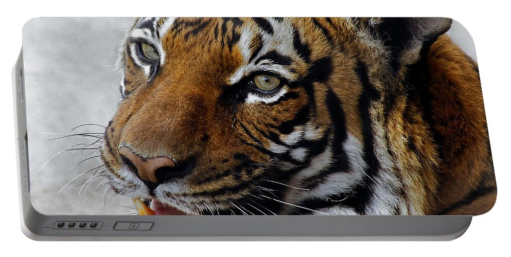 Malayan Tigers Portable Battery Charger featuring the photograph Did Someone Mention Food by Elaine Malott