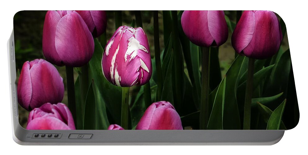 Tulip Portable Battery Charger featuring the photograph Different by Mary Jo Allen