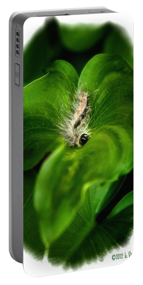 Caterpillar Portable Battery Charger featuring the photograph Dinner Is Served by Lucy VanSwearingen