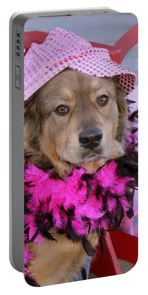 Dog Portable Battery Charger featuring the photograph Do You Like My Pink Hat by Fiona Kennard
