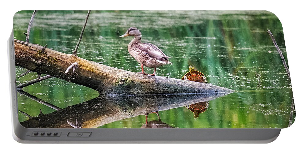 Reflection Portable Battery Charger featuring the photograph Does This Make My Tail Look Big by Paul Freidlund