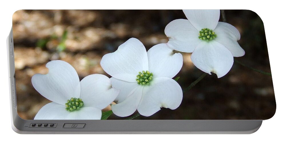 Dogwood Portable Battery Charger featuring the photograph Dogwood by Andrea Anderegg