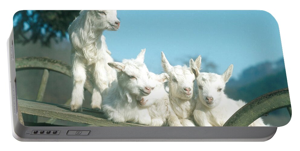 Mammal Portable Battery Charger featuring the photograph Domestic Goats by Hans Reinhard