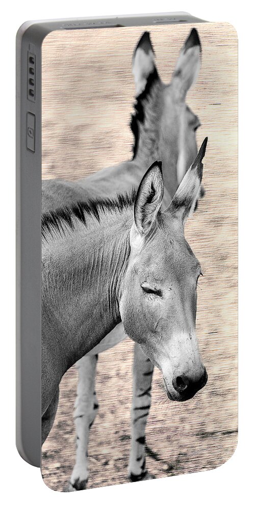 Donkey Portable Battery Charger featuring the photograph Donkeyflected by Bill and Linda Tiepelman