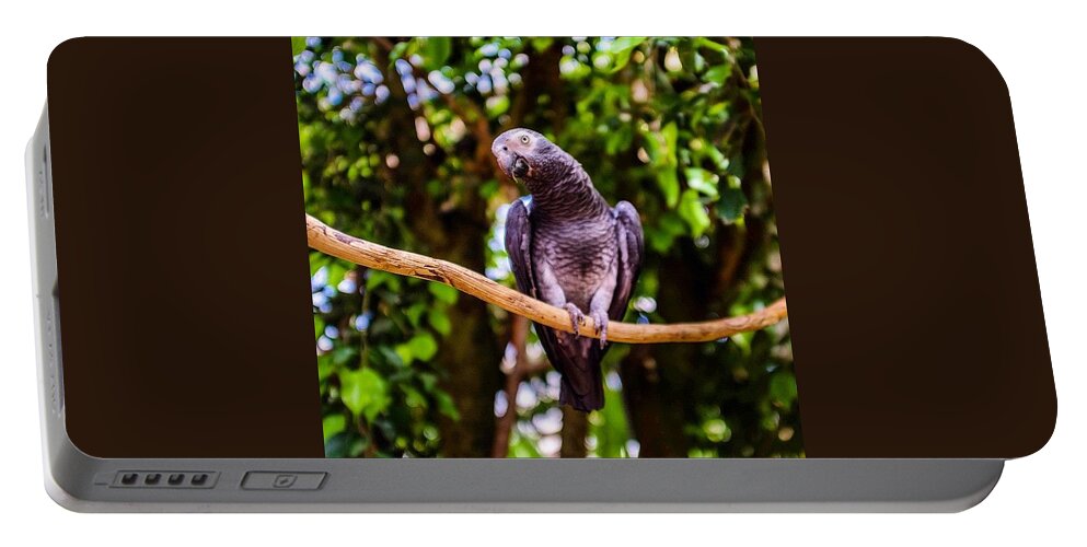 Beautiful Portable Battery Charger featuring the photograph Don't Give Me The Bird! by Aleck Cartwright