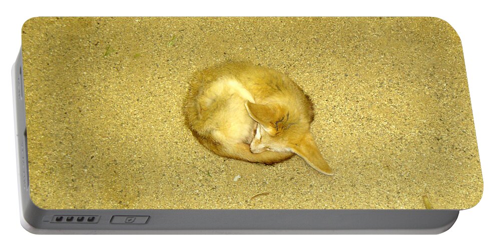 Fennec Fox Portable Battery Charger featuring the photograph Don't Let Anything in the World Bother You by Verana Stark