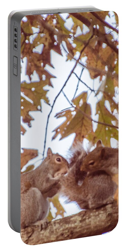 Animals Portable Battery Charger featuring the photograph Don't Worry Be Happy by Donna Brown