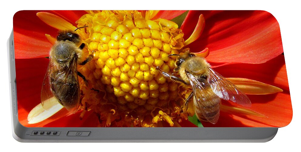 Bees Portable Battery Charger featuring the photograph Double Trouble by Lori Lafargue