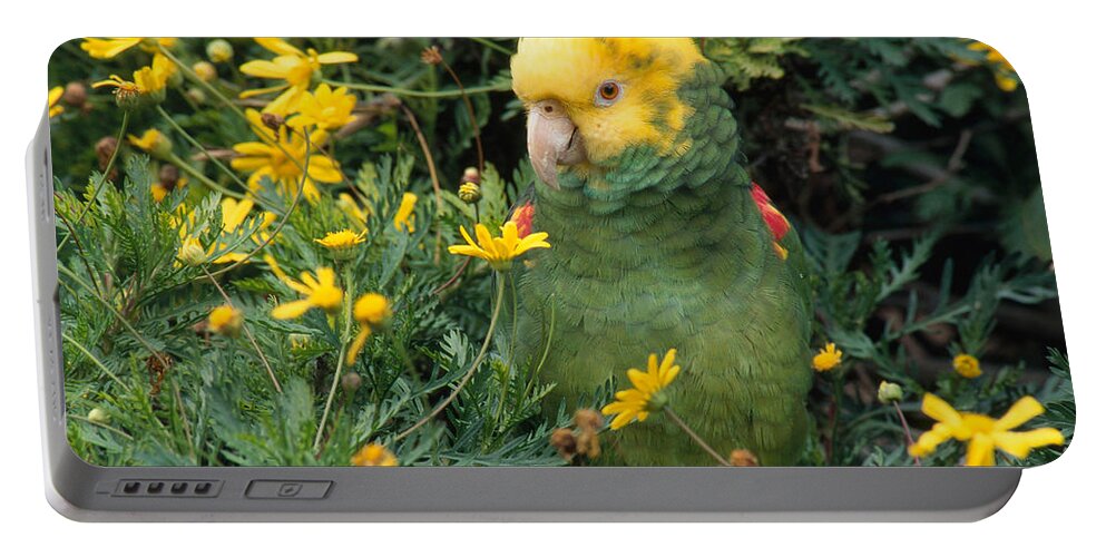 Amazon Parrot Portable Battery Charger featuring the photograph Double Yellow Headed Parrot by Craig K. Lorenz