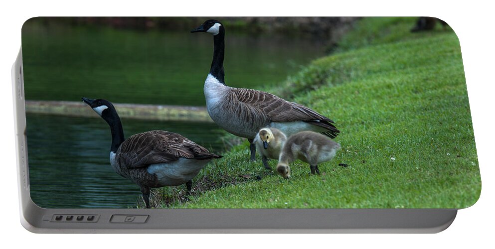 Geese Portable Battery Charger featuring the photograph Down by the River by Dale Powell